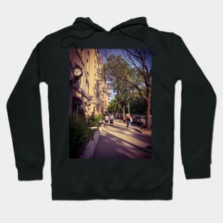 Central Park North Manhattan New York City Hoodie